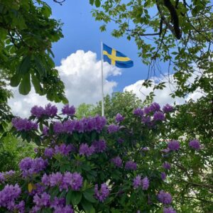 Memory Training Courses in Sweden